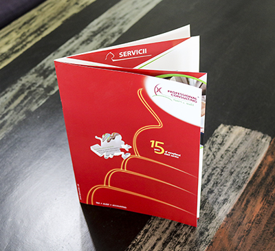 Catalog Professional Consulting